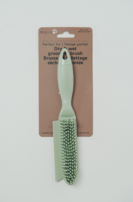Dry & Wet Grooming Brush