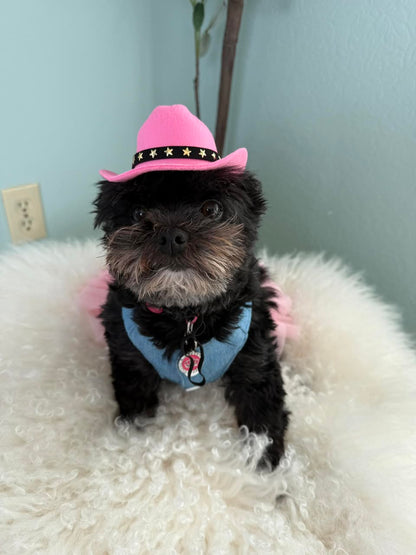 CowGirl Hat with bandana collar-Small