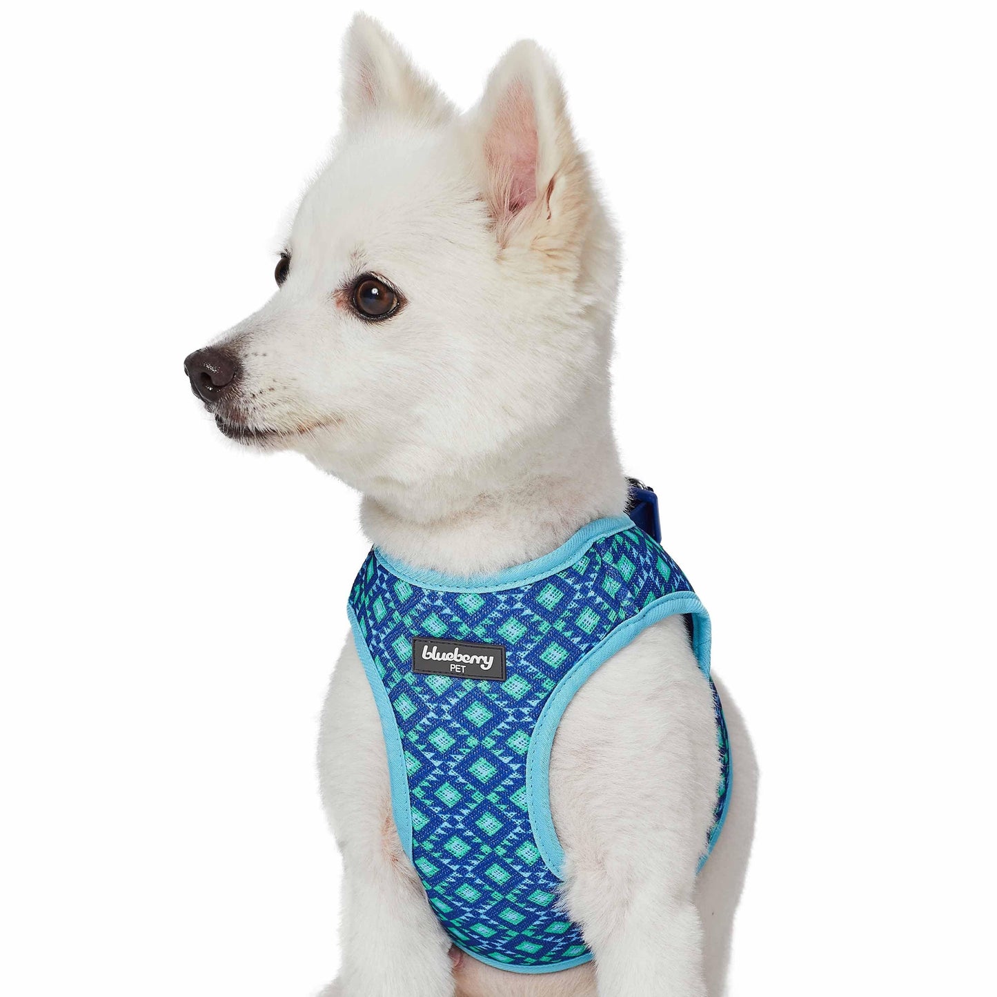 Southwestern Tribal Dog Harness Blue/Green