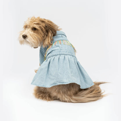 Ocean Denim Dress