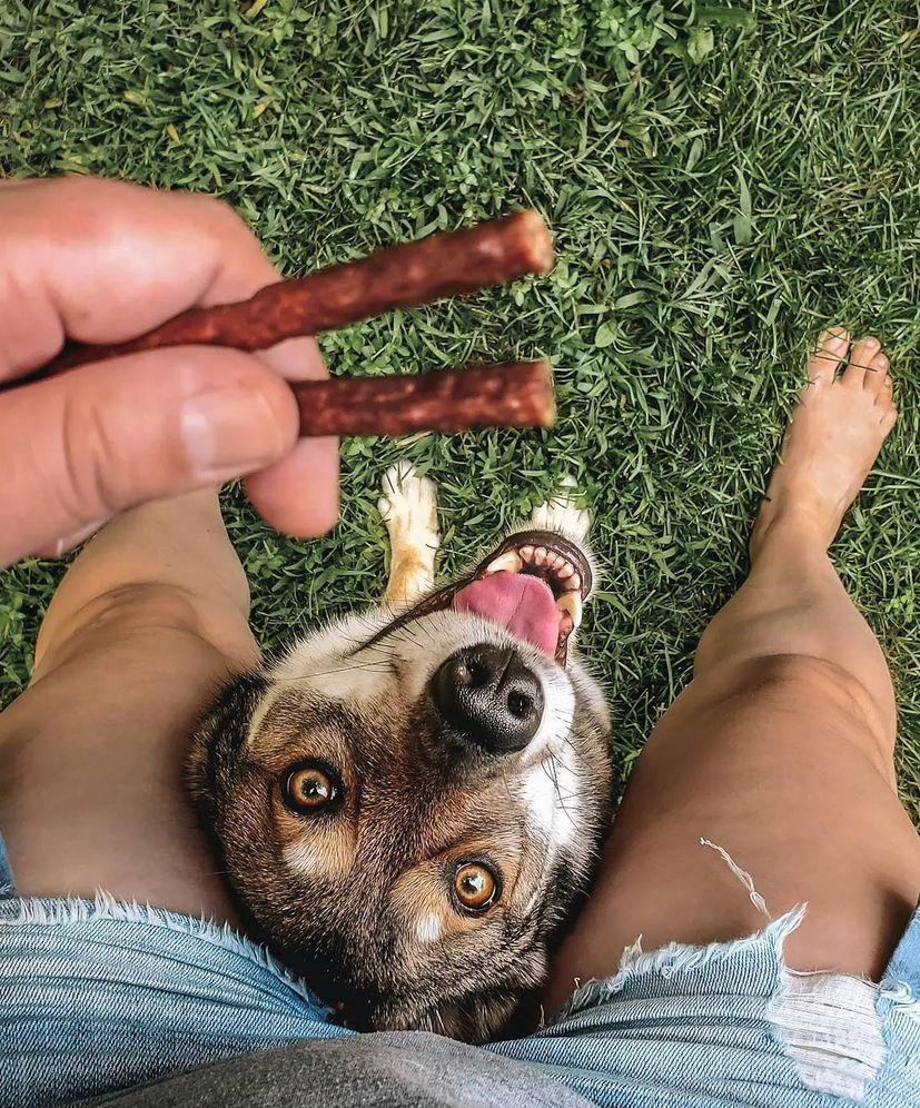 Beef Treats For Dogs sticks