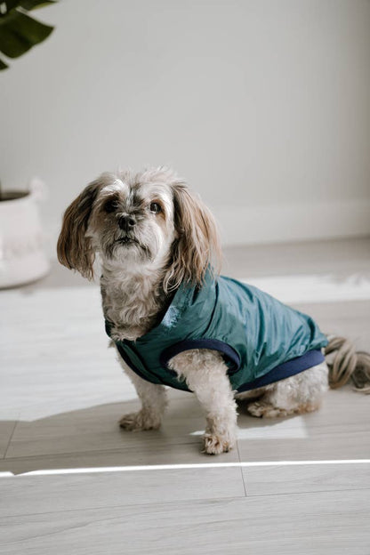 Rain Jacket Jogger & Windbreaker - Teal Blue