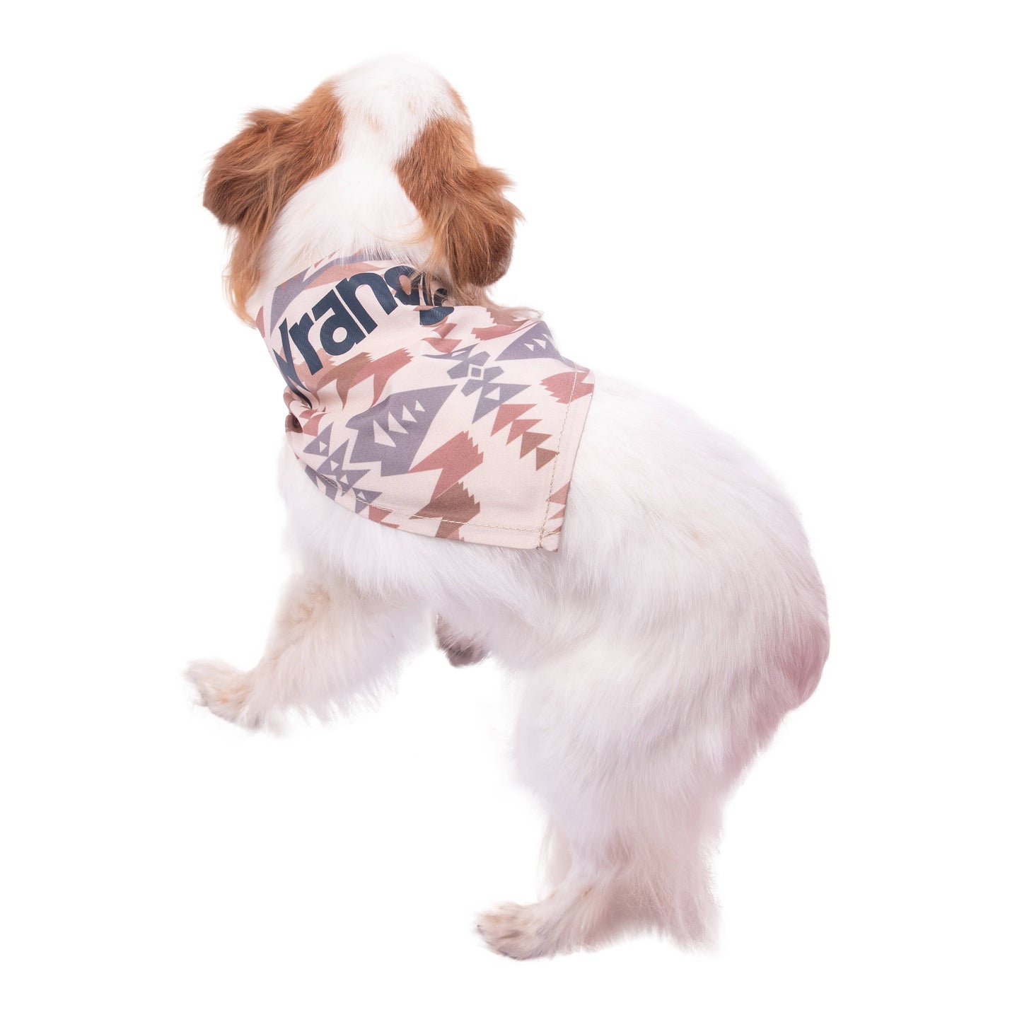 Wrangler Pattern Bandana Tan Multi