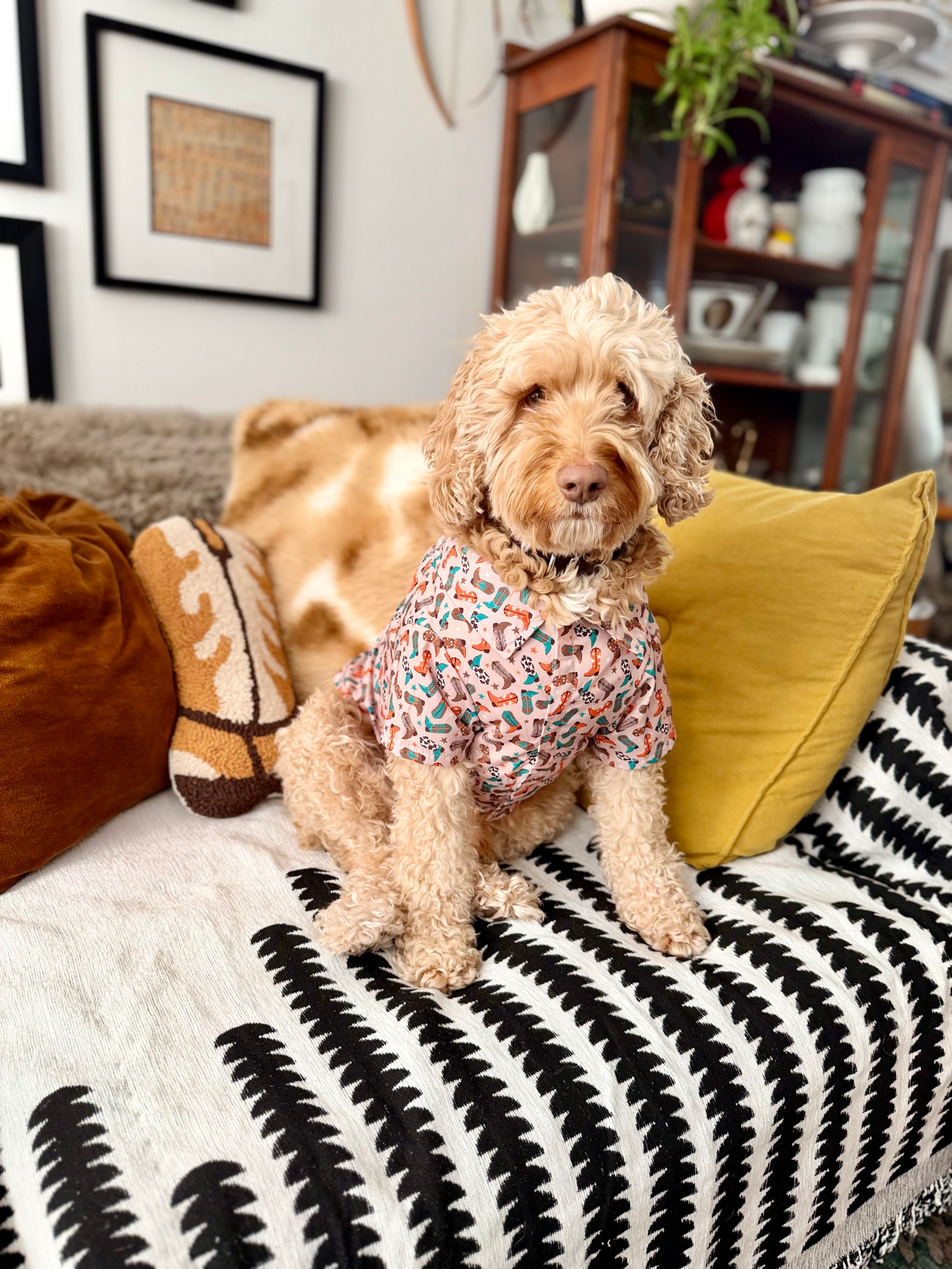 Wild Wild West Shirt