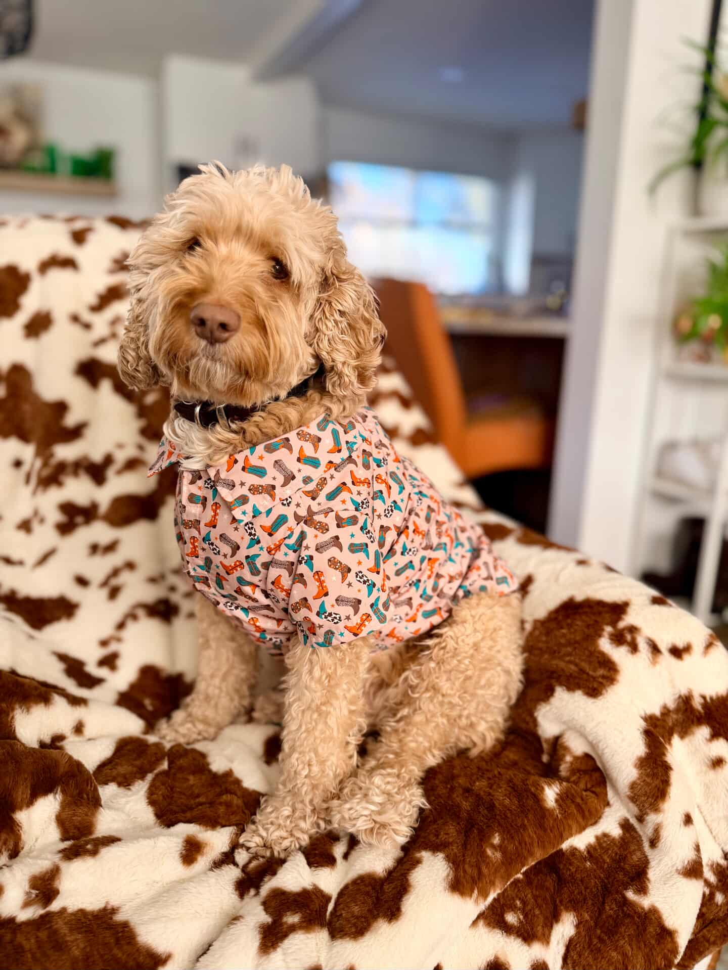 Wild Wild West Shirt