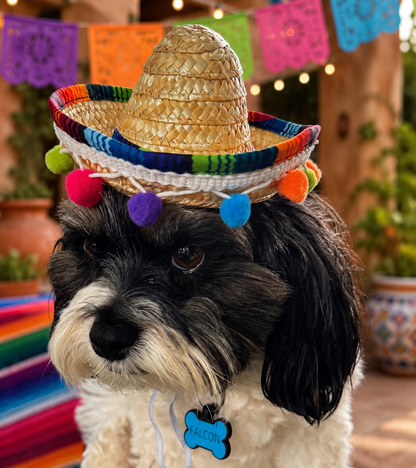 Sombrero Hat for Dogs and Cats