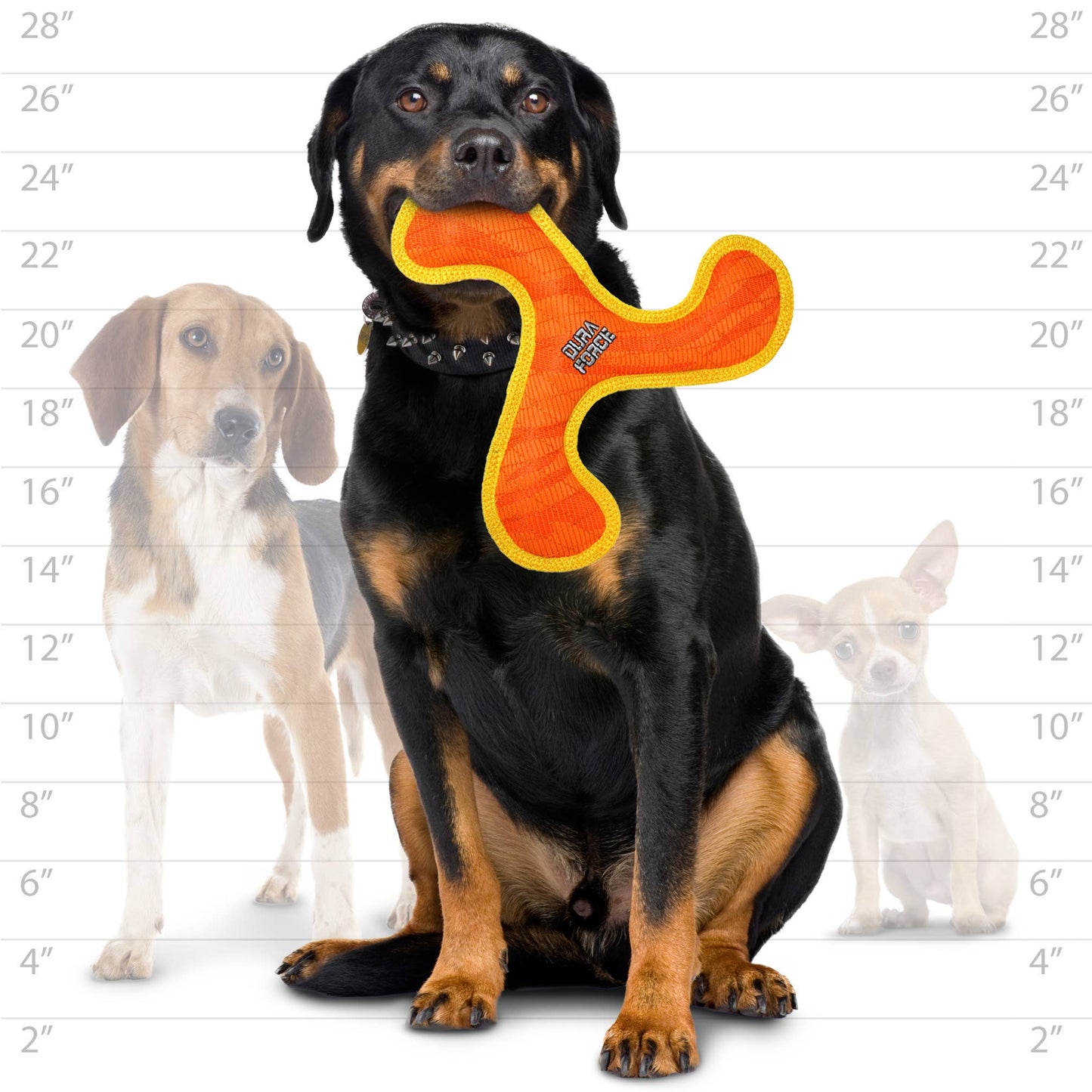 DuraForce Boomerang Tiger - Orange-LARGE