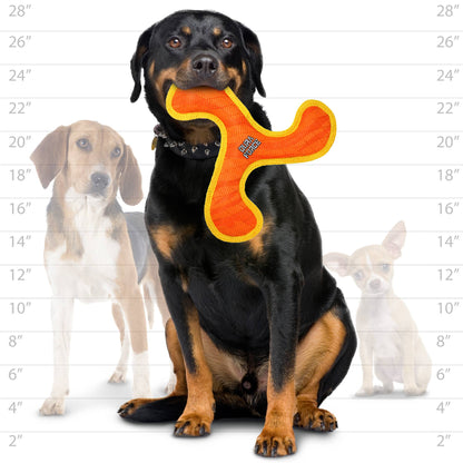 DuraForce Boomerang Tiger - Orange-LARGE
