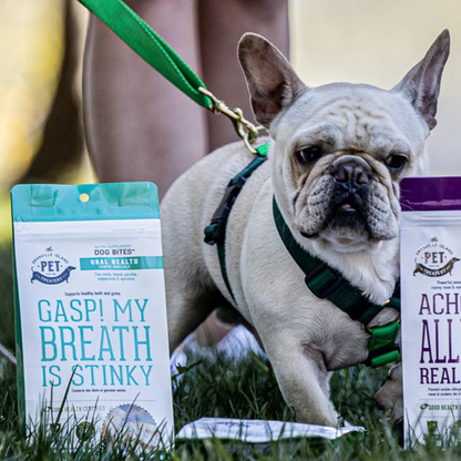 Dog Supplements-  Oral Health Supplement Dog Herbal Bites