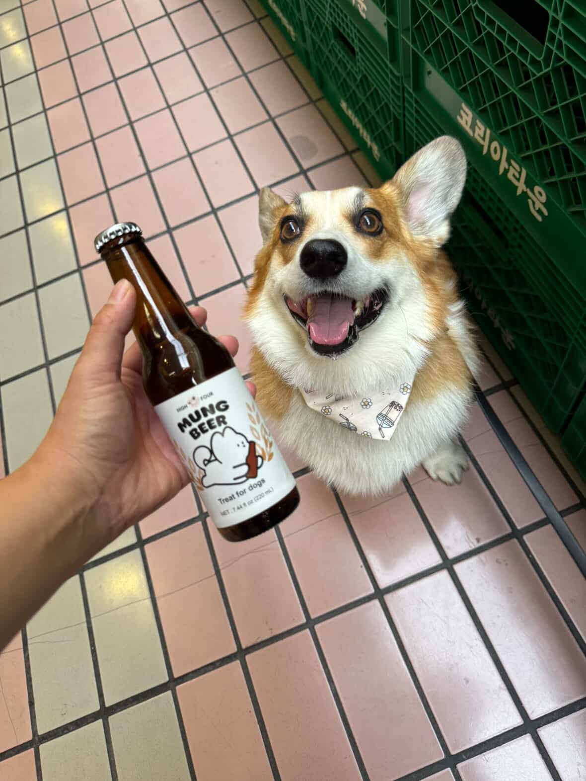 Beer for Dogs! Non-Alcoholic Vitamin Dog Beer