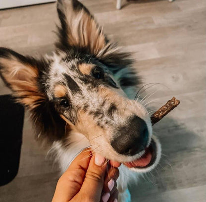 Beef Treats For Dogs sticks