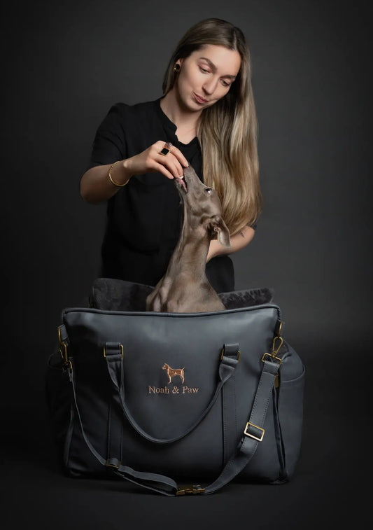 The Best PREMIUM LUXURY DOG CAR SEAT ORTHOPEDIC FOAM, DARK GREY