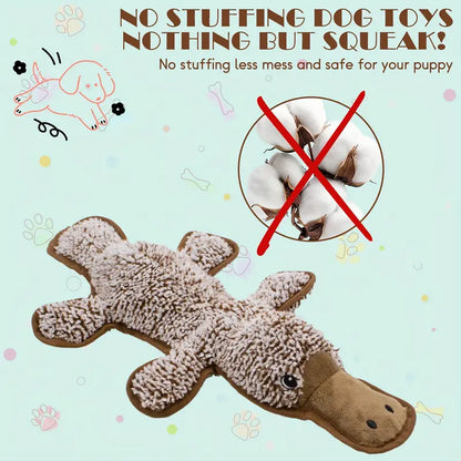 No stuff Platypus