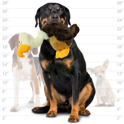 Mighty Safari Vulture