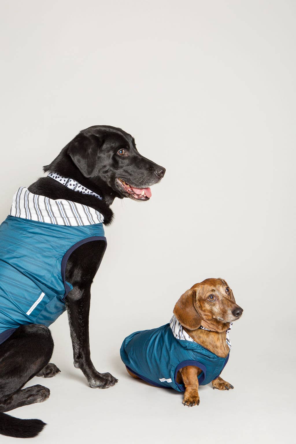 Rain Jacket Jogger & Windbreaker - Teal Blue