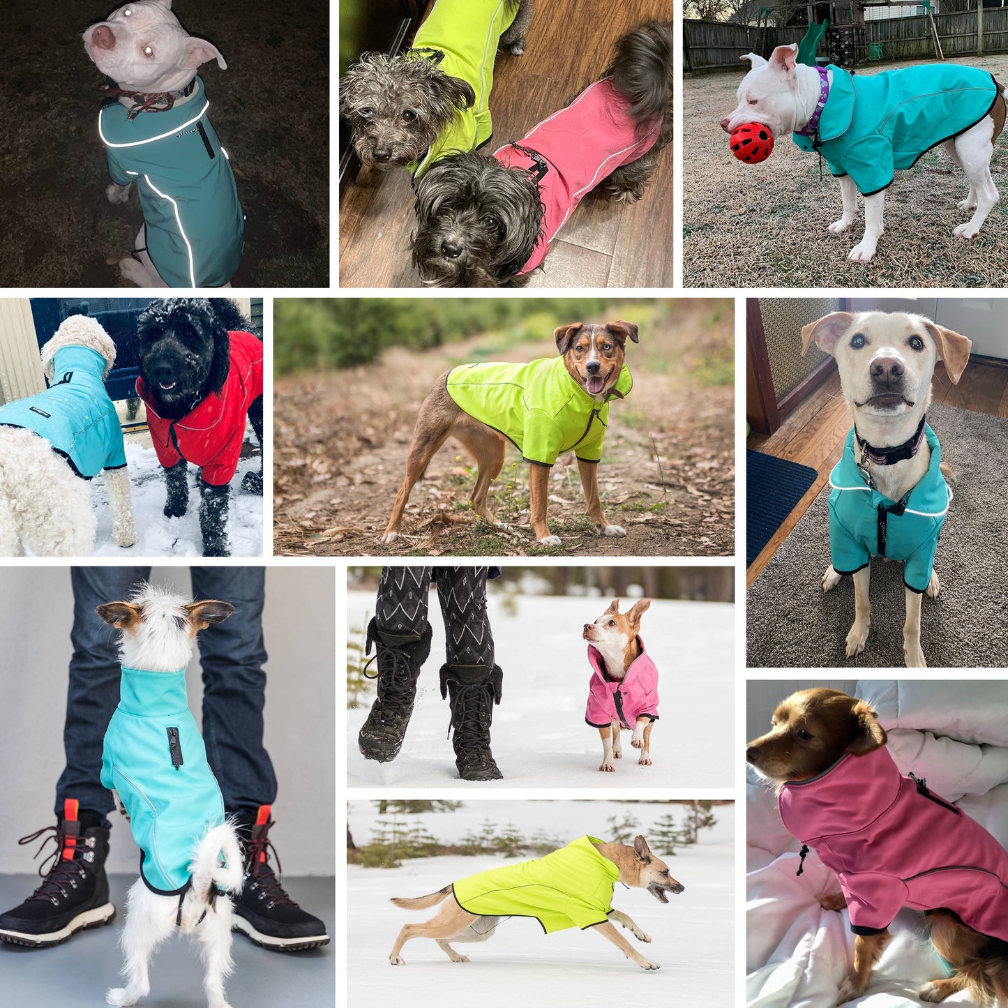 Waterproof Reflective Dog Softshell Jacket: Bright Pink