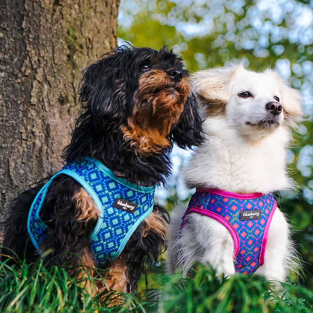 Southwestern Tribal Dog Harness Pink