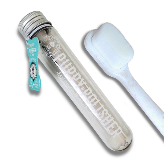 Puppy Polisher Eco Toothbrush - (Med/LG)