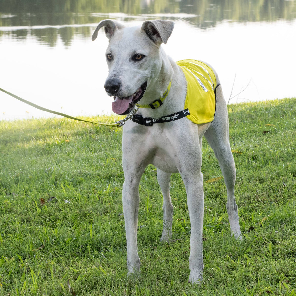 Wrangler Hi Vis Lightweight Safety Vest