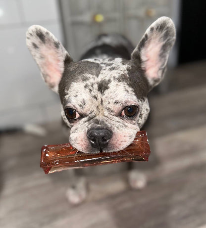 Bacon Collagen Dental Chew 2 Sizes