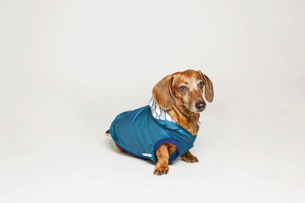 Rain Jacket Jogger & Windbreaker - Teal Blue