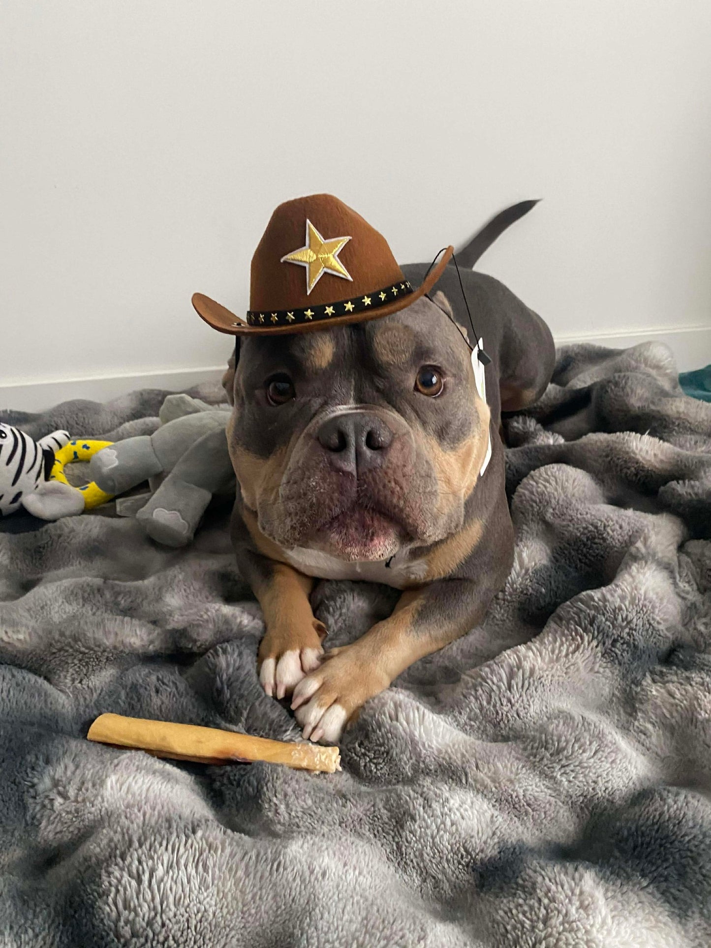 Sheriff Cowboy/Girl Hat -LARGE