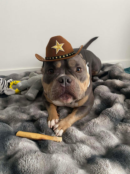 Sheriff Cowboy/Girl Hat -LARGE
