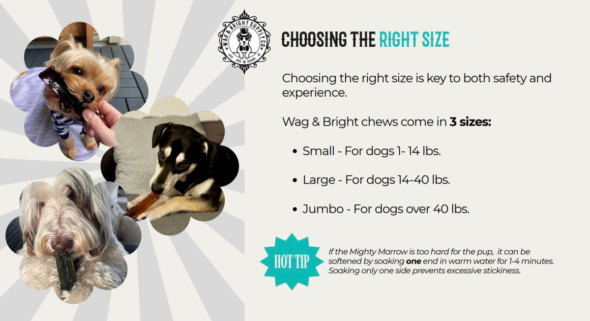 Mighty Marrows Collagen Dental Chew 3 Sizes