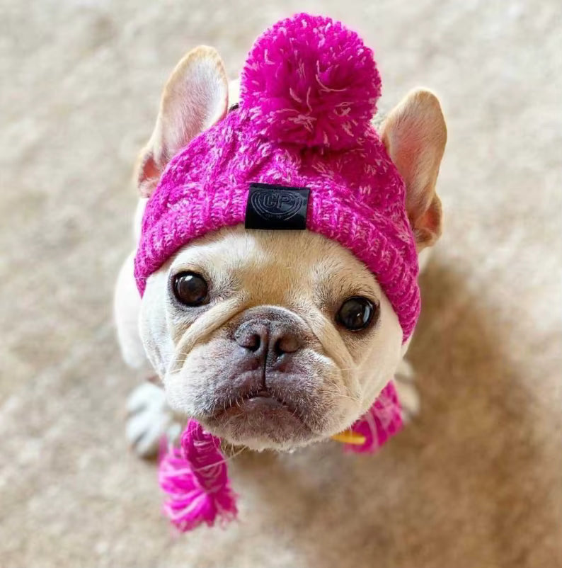 Winter Dog/Cat hat