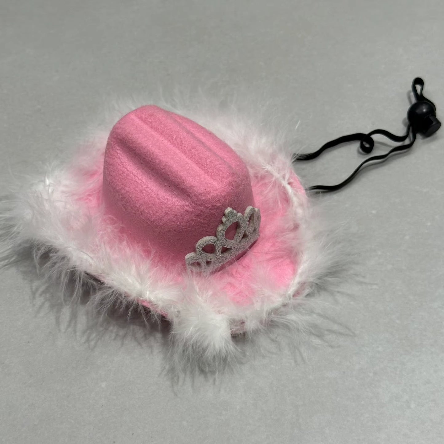 Feather Crown Cowboy/girl hat