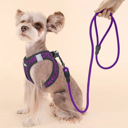 Breathable Dog Harness and Leash Set