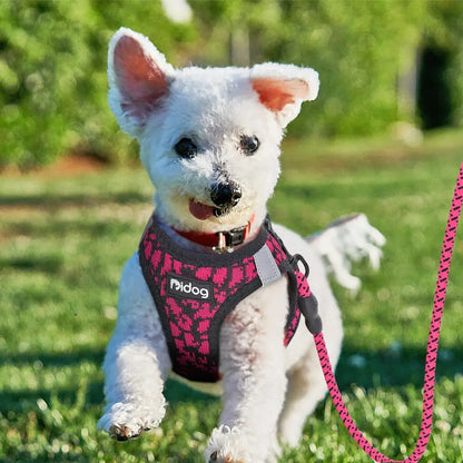 Breathable Dog Harness and Leash Set