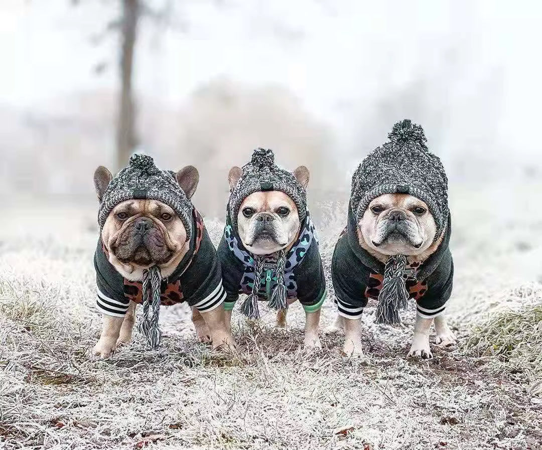 Winter Dog/Cat hat