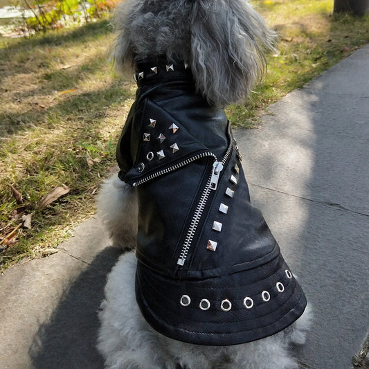 Canine Chic Leather look biker pup