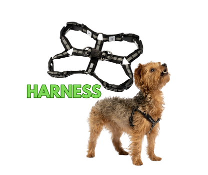Maximus Dog Harness