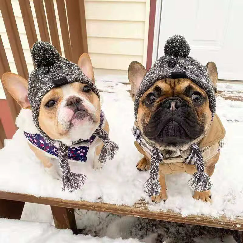 Winter Dog/Cat hat