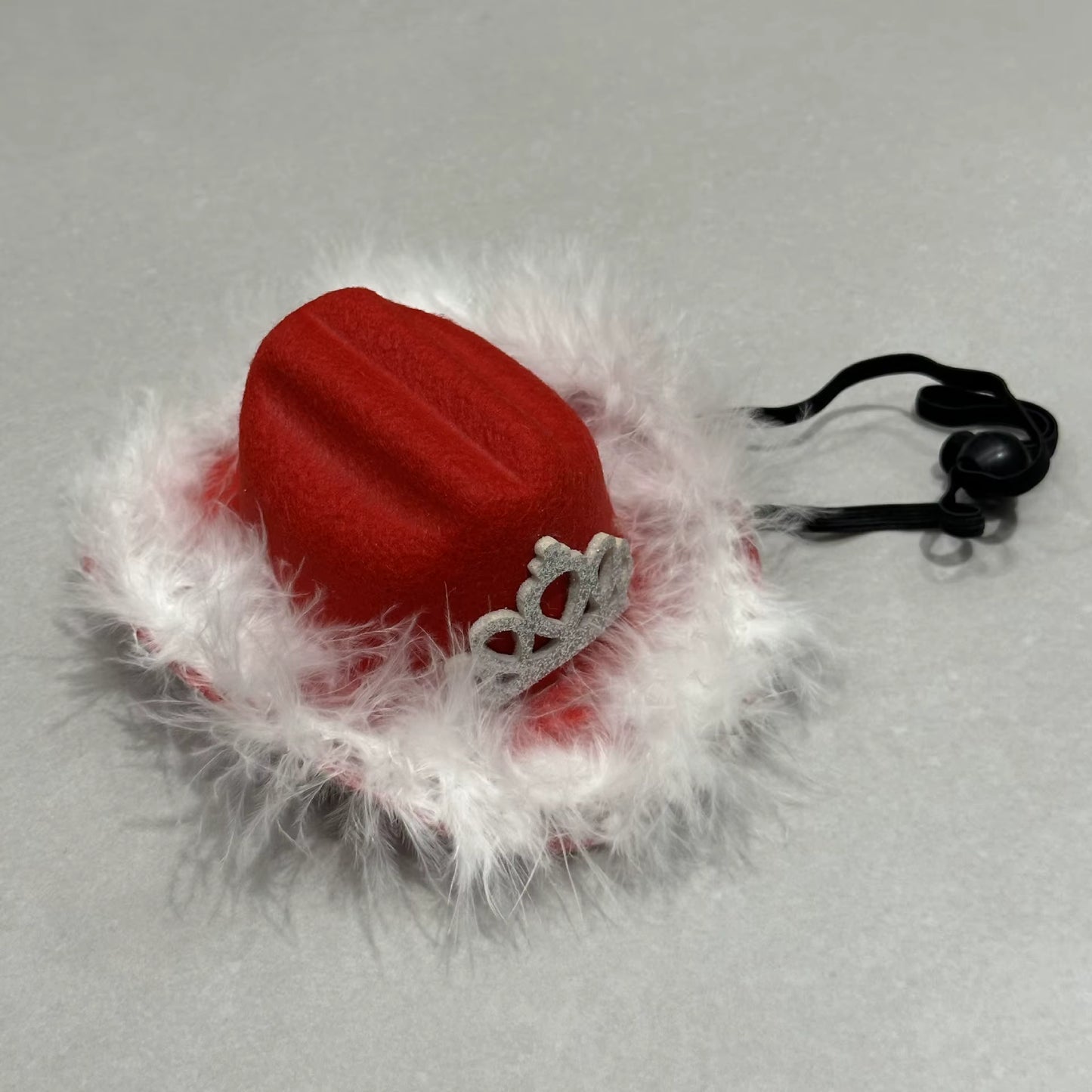 Feather Crown Cowboy/girl hat
