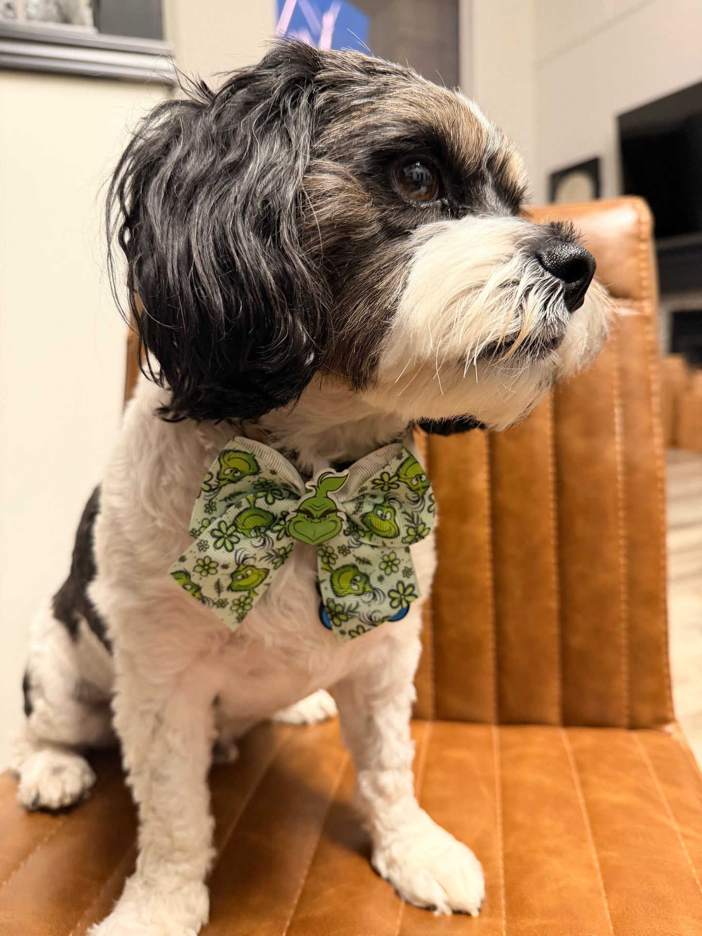 Grinch collar bow