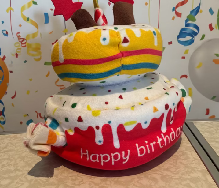 Birthday Double layer cake with hide and sniff treats