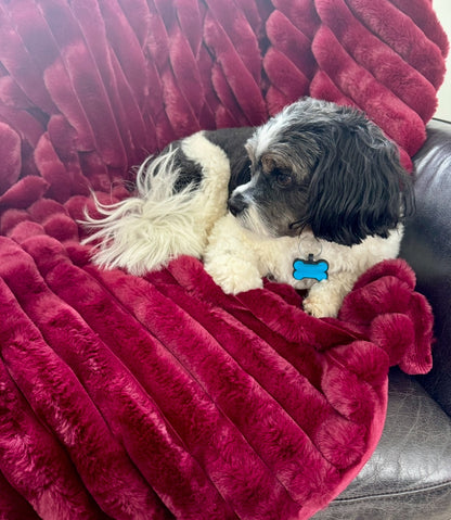 People and Pet throw! 
XL Decadent faux-fur jacquard stripe throw.