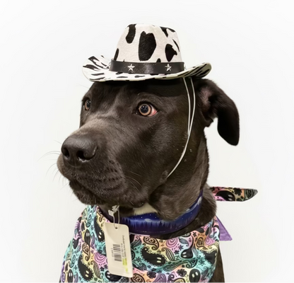 Cowboy/girl hat Milk pattern- LARGE