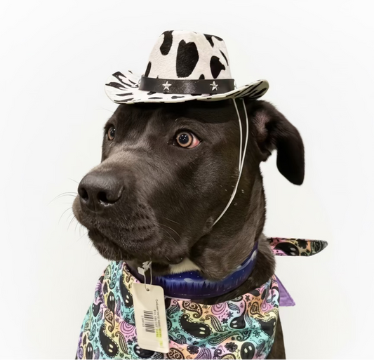 Cowboy/girl hat Milk pattern- LARGE