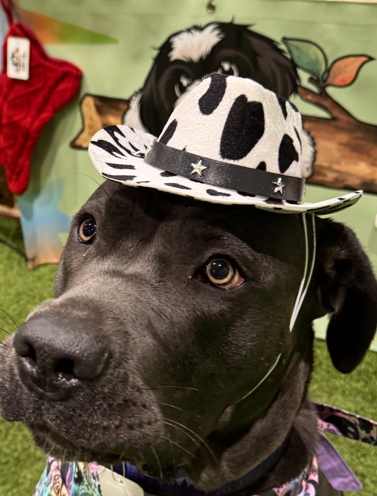 Cowboy/girl hat Milk pattern- LARGE