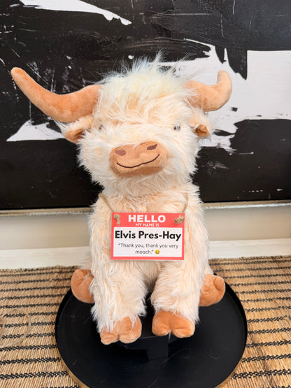Highland Cow