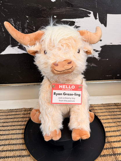Highland Cow