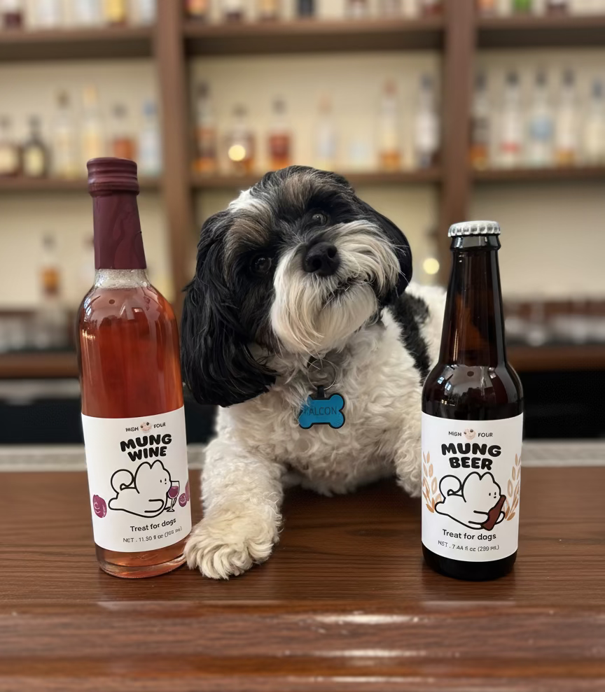 Beer for Dogs! Non-Alcoholic Vitamin Dog Beer