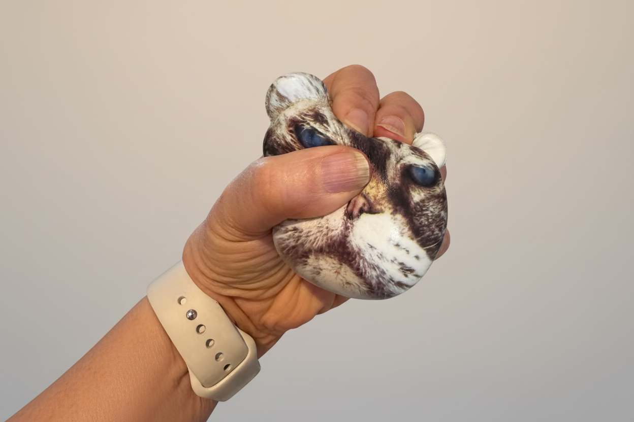 Grumpy Cat Stress ball