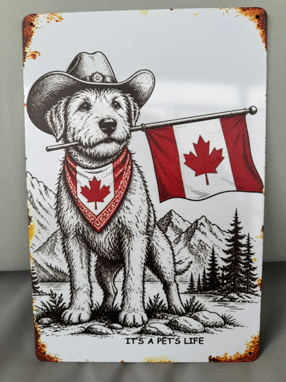 True North Trail Dog