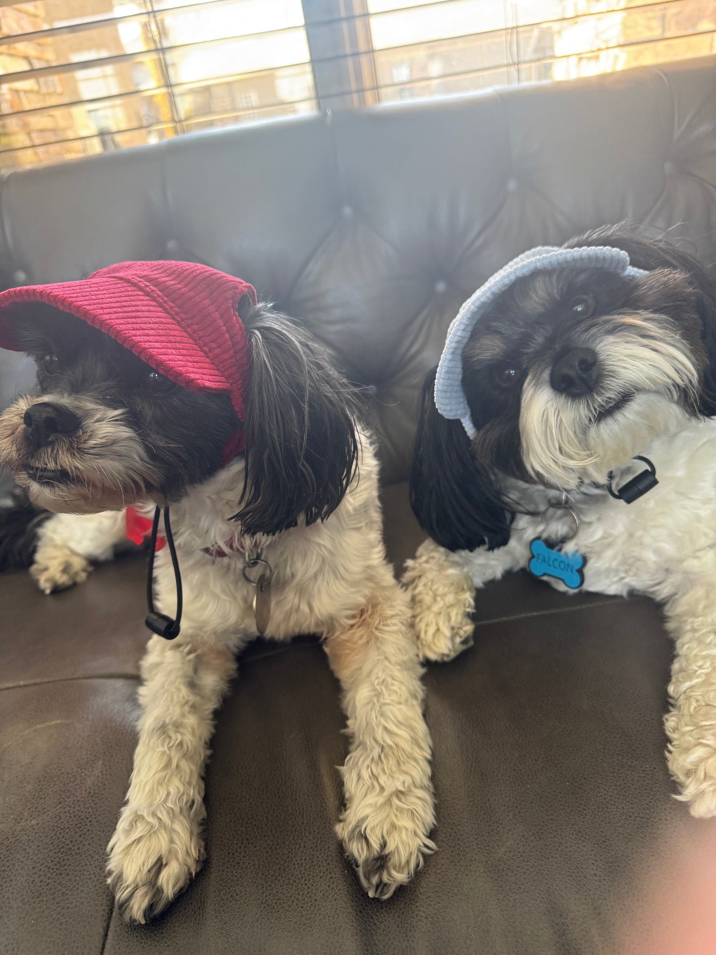 Corduroy Pet Ball Cap