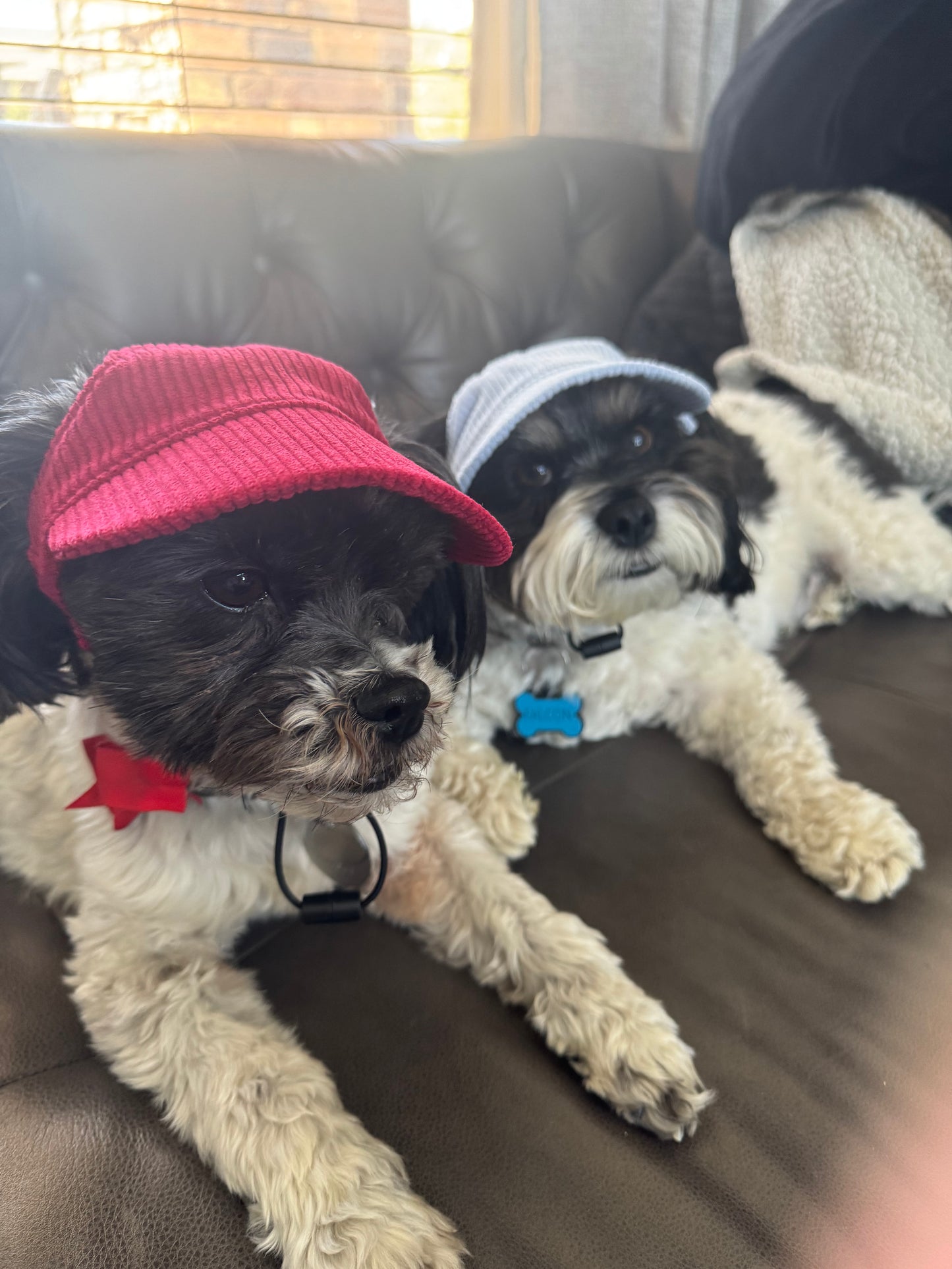 Corduroy Pet Ball Cap